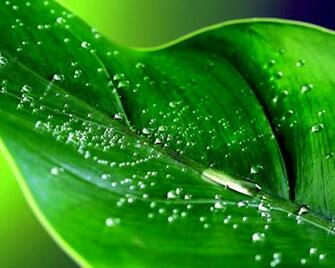 Collection Great Pictures Pure High Definition HD You Can