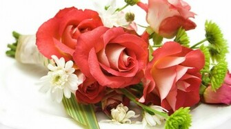 Flowers Roses