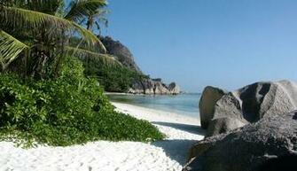 Wallpaper Beach Tree Side Definition HD Ba