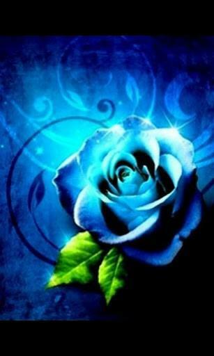 Blue Rose 3d Live Wallpaper App For Android By Universal