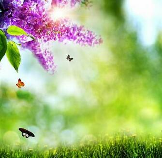 Spring Time Wallpaper HD Desktopinhq