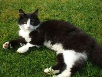 His Long Black And White Coat