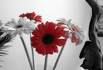 Black And White Red Background Wallpaper