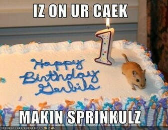 Funny Happy BirtHDay Wide Wallpaper Hivewallpaper