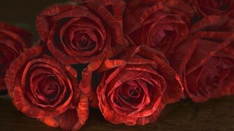 La Imagen Rosa Roja Wallpaper And Stock Photos Picture Car Pictures