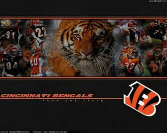 Bengal Wallpaper Cincinnati Bengals And