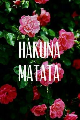 Cute Flower Wallpaper