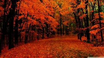 Fall Wallpaper HD