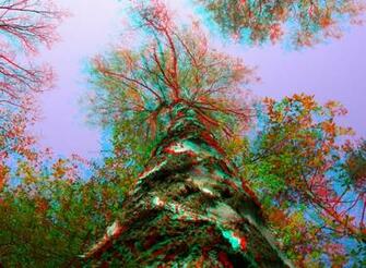 3d Anaglyph Wallpaper