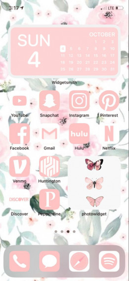 Apple Ios Aesthetic Home Screen iPhone Photo App Homescreen