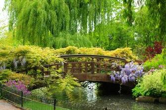 Beautiful Spring Flowers Wallpaper