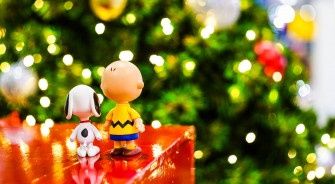 Things A Charlie Brown Christmas Taught Me About Deployment