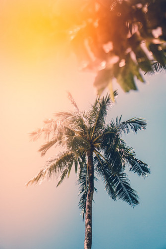 Summer Wallpaper HD Hq