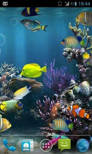 Fish Aquarium Live Wallpaper Now Watch Fishes Moving In As