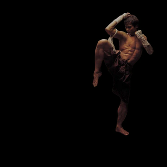 Muay Thai Addict By Robidesigns