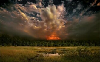 Forest Fire Wallpaper