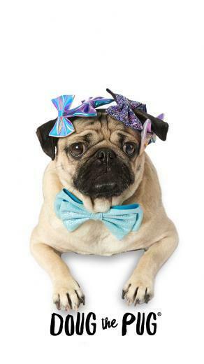 Doug The Pug Claire S