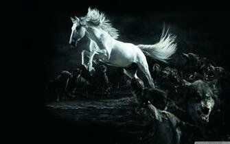 Wallpaperwide Horses HD Desktop Wallpaper For 4k Ultra