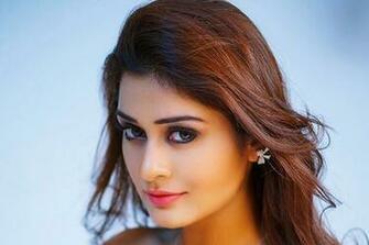 Payal Rajput Wallpaper HD Background Image Pics Photos