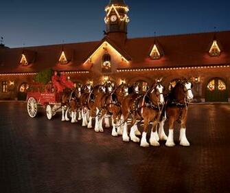 Below Is A Photo Of The Budweiser Holiday Hitch