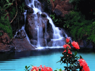 Monkey Waterfall Wallpaper HD