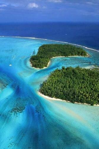 French Moorea Beach Forest iPhone Wallpaper