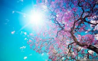 HD Wallpaper Beautiful Spring Nature Background By
