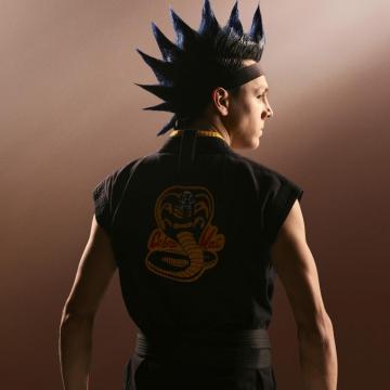 Cobra Kai Hawk Wallpaper Posted By Samantha Peltier