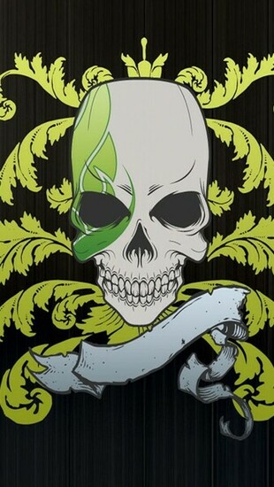 iPhone Wallpaper HD Crazy Design Creative Skull Background