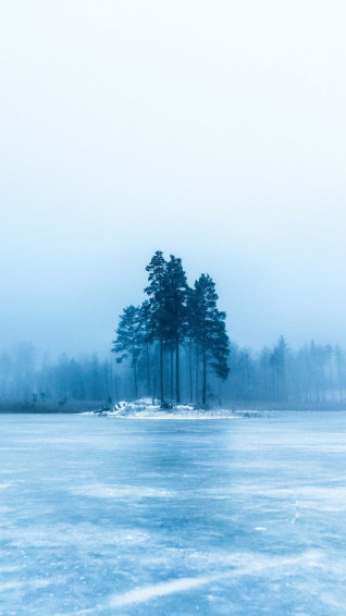 Gorgeous Winter Wallpaper For iPhone