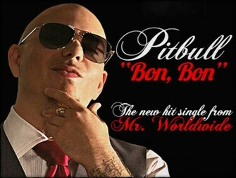 Pitbull Rapper Wallpaper