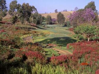 Golf Scenes Match Point Kissing Scene Picture Wallpaper