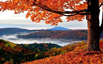 Autumn Background Wallpaper
