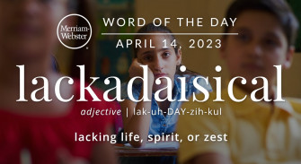 Lackadaisical Wallpaper