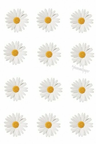 Daisy Background Quotes
