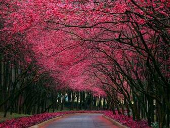 Nature Wallpaper HD Widescreen Res