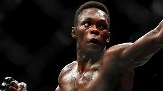 Ufc Things We Learned Mma Sporting News