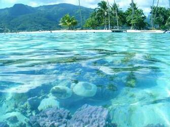 Wallpaper Background Beach Fun Tahiti