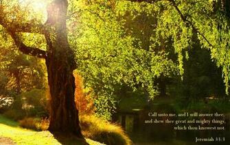 Bible Verses Religion Quote Text Poster Fm Wallpaper