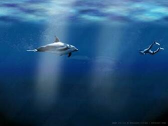 Dolphins Wallpaper