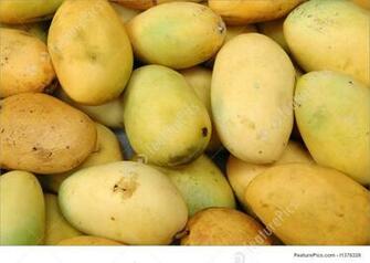 Mango Background