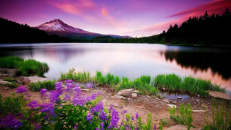 Nature Wallpaper