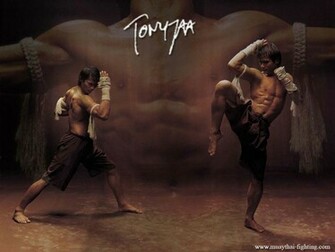 Muay Thai Wallpaper Comprehensive Styles Of Boxing