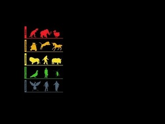 Humor Evolution Black Background Wallpaper