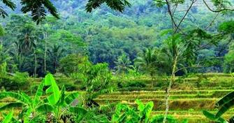 Gambar Wallpaper Pemandangan Indah Di