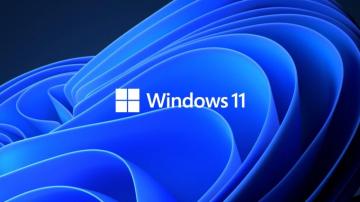 Everything You Need To Know About Windows