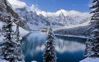Back To Wallpaper Lake Surrounded By Rocky Mountains And Pine Forest