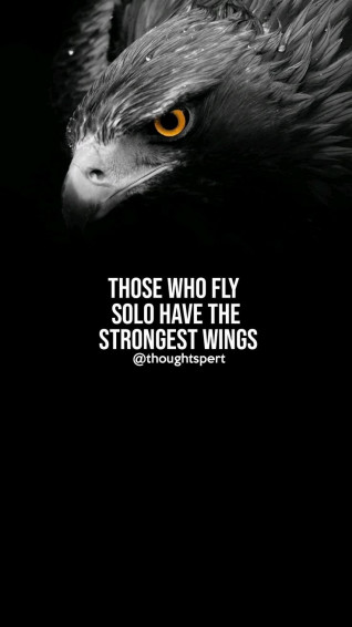 Wallpaper Quotes