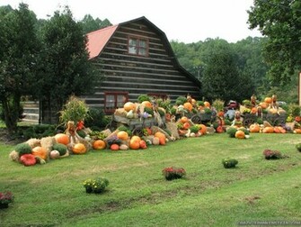 Wallpaper Thanksgiving Day Scene