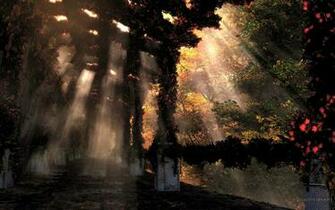 The Shaded Path Autumn Shown X Right Or Alt